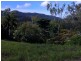 58 Country Road, Cannonvale QLD 4802