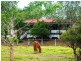25 Windemere Drive, Strathdickie QLD 4800