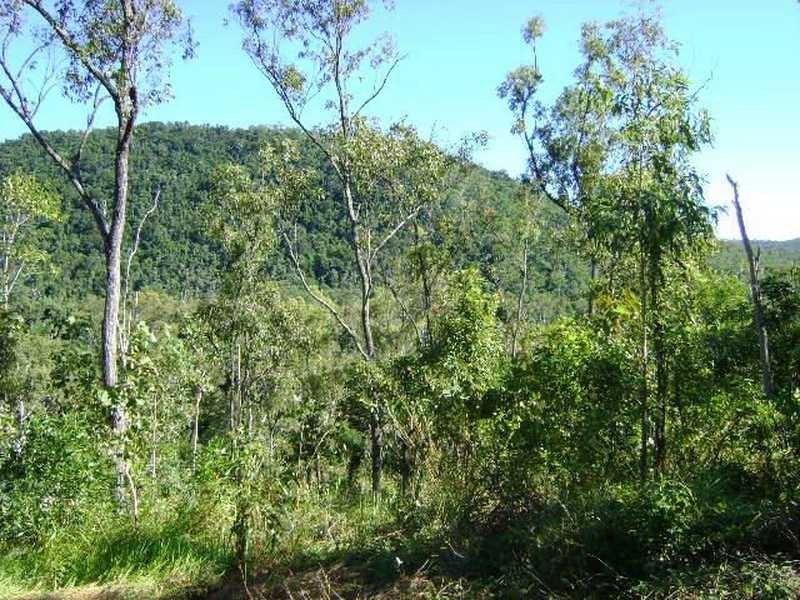 Lot 25 Sam Hill Drive, Woodwark QLD 4802