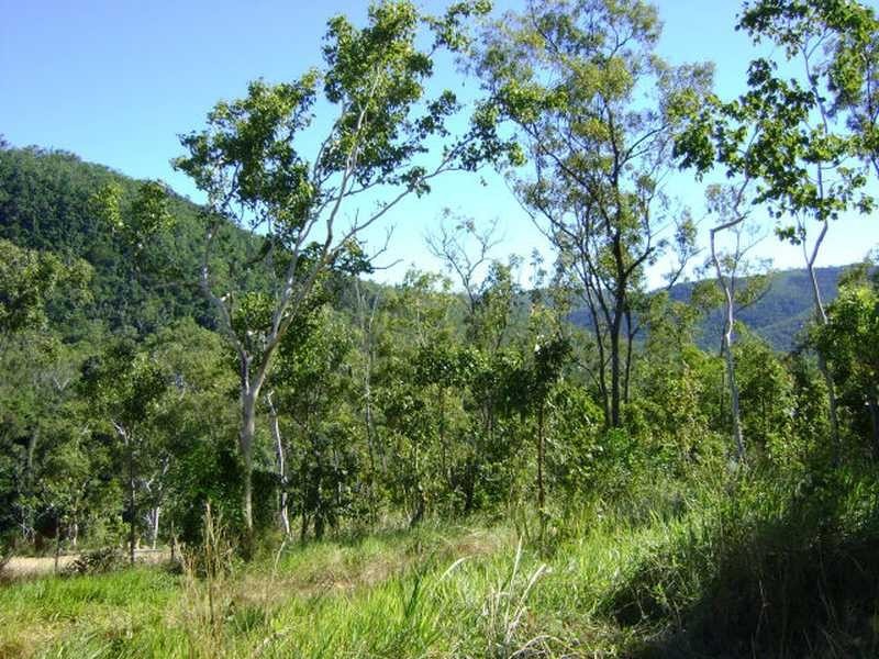 Lot 25 Sam Hill Drive, Woodwark QLD 4802