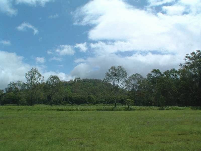 48 Paluma Road, Cannonvale QLD 4802