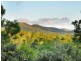 70 Domenica Road, Sugarloaf QLD 4800