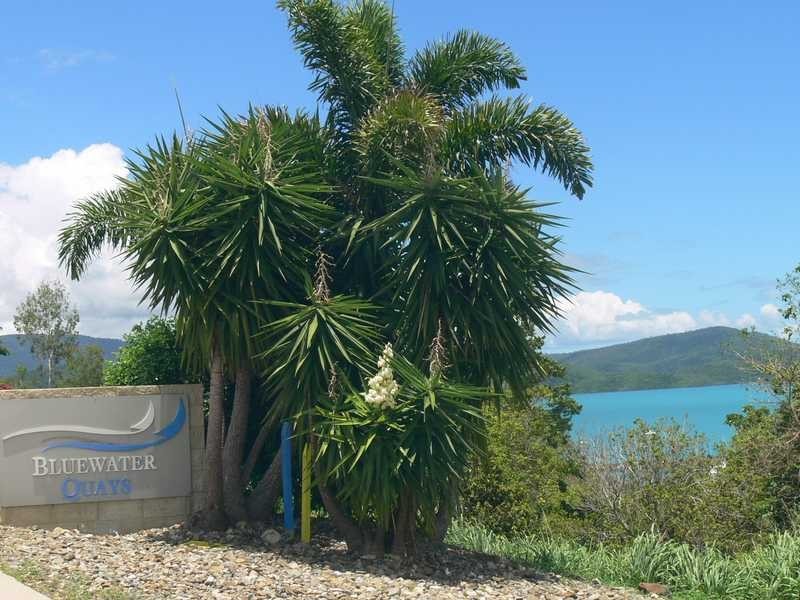 Lot 1/10 Kara Crescent, Airlie Beach QLD 4802