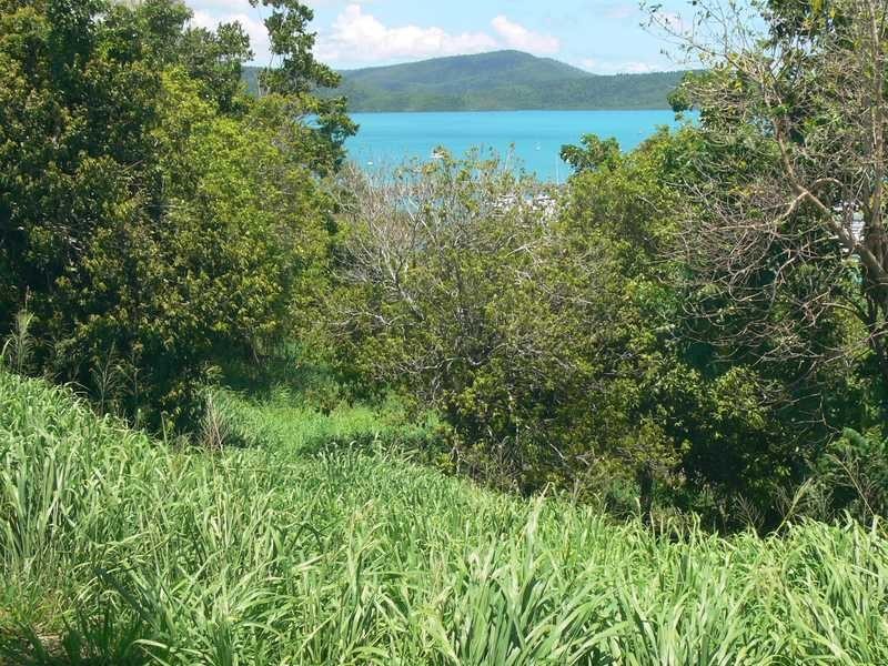 Lot 1/10 Kara Crescent, Airlie Beach QLD 4802