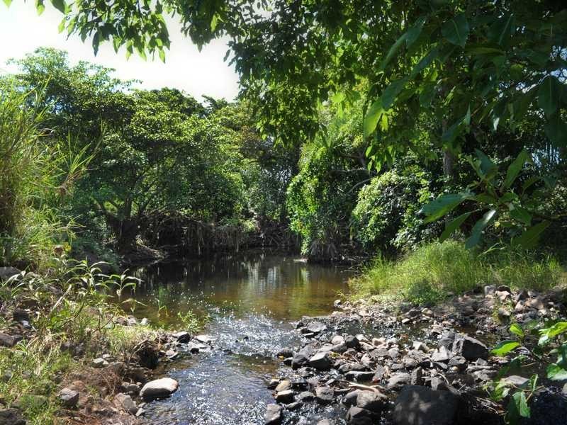 292 Gregory Cannonvalley Road, Gregory River QLD 4800