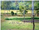 Lot 21 Berry Hill Road, Sugarloaf QLD 4800