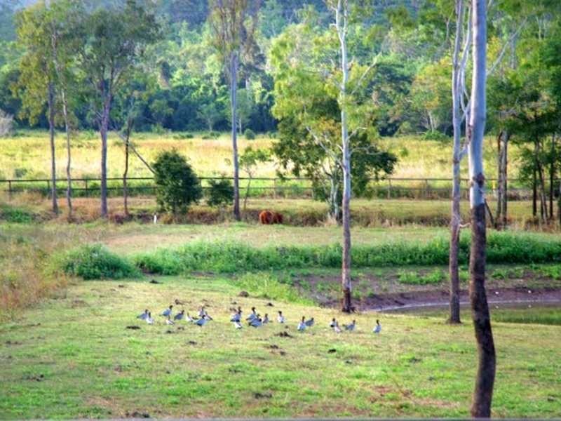 Lot 21 Berry Hill Road, Sugarloaf QLD 4800