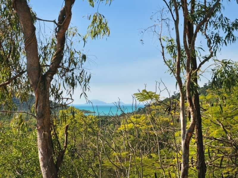 Lots 13-15 17 & 50 Paluma Road, Woodwark QLD 4802