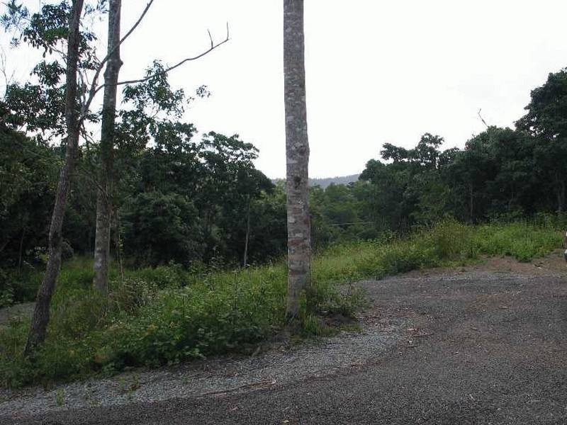 Lot 104 Moodys Road, Strathdickie QLD 4800
