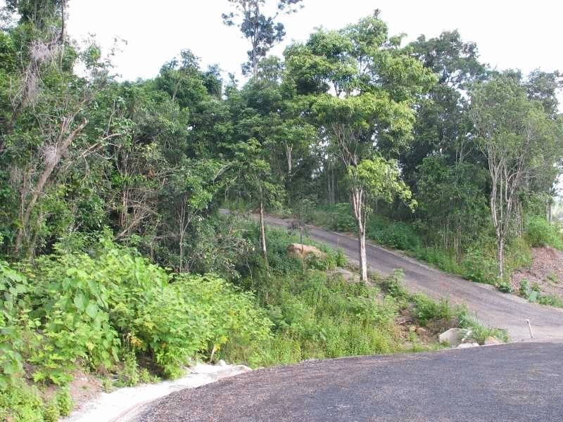Lot 104 Moodys Road, Strathdickie QLD 4800