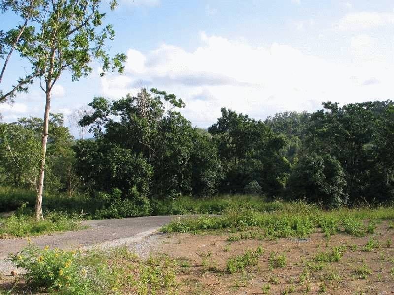 Lot 104 Moodys Road, Strathdickie QLD 4800