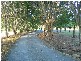 1058 Conway Rd, Conway QLD 4800