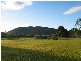 1058 Conway Rd, Conway QLD 4800