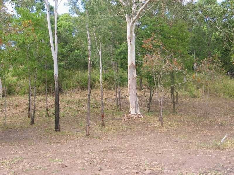 Lot 51 Brandy Creek Road, Brandy Creek QLD 4800