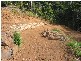 31 Parkland Drive, Cannonvale QLD 4802