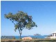 17 Olden Court, Hideaway Bay QLD 4800