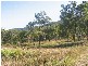 17 Olden Court, Hideaway Bay QLD 4800