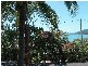 34 Airlie Crescent, Airlie Beach QLD 4802