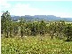 Lot 1-8 32 Mount Marlow Rise, Whitsundays QLD 4802
