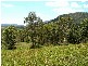 Lot 1-8 32 Mount Marlow Rise, Whitsundays QLD 4802