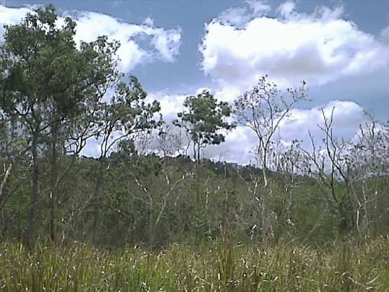 Lot 2 Sugarloaf Road, Sugarloaf QLD 4800