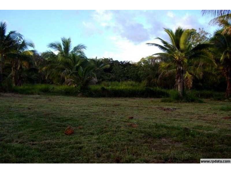 124 Paluma Road, Cannonvale QLD 4802
