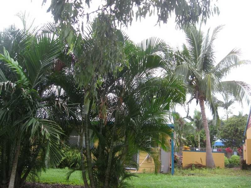 Unit 31/28 Island Drive, Cannonvale QLD 4802