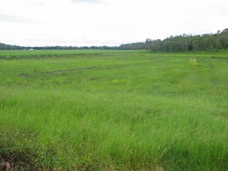 175 Wrights Road, Strathdickie QLD 4800