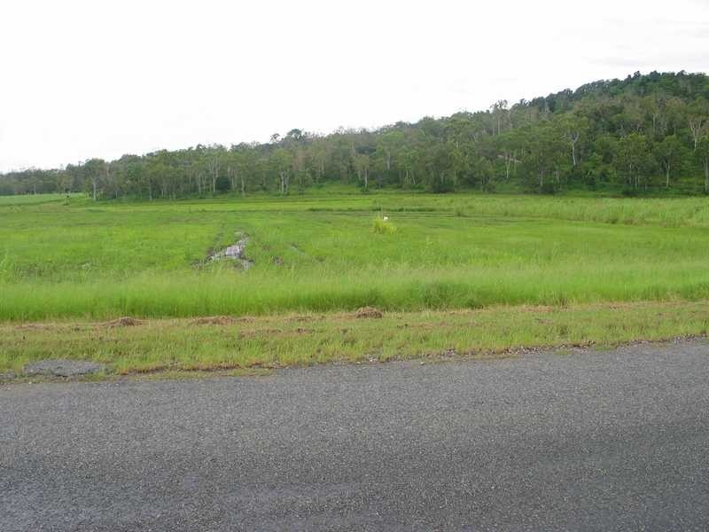 175 Wrights Road, Strathdickie QLD 4800