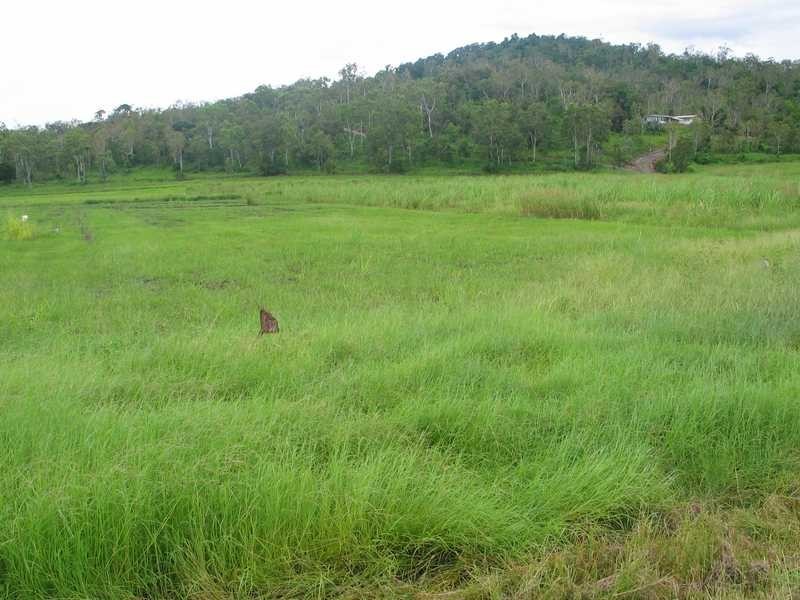 175 Wrights Road, Strathdickie QLD 4800