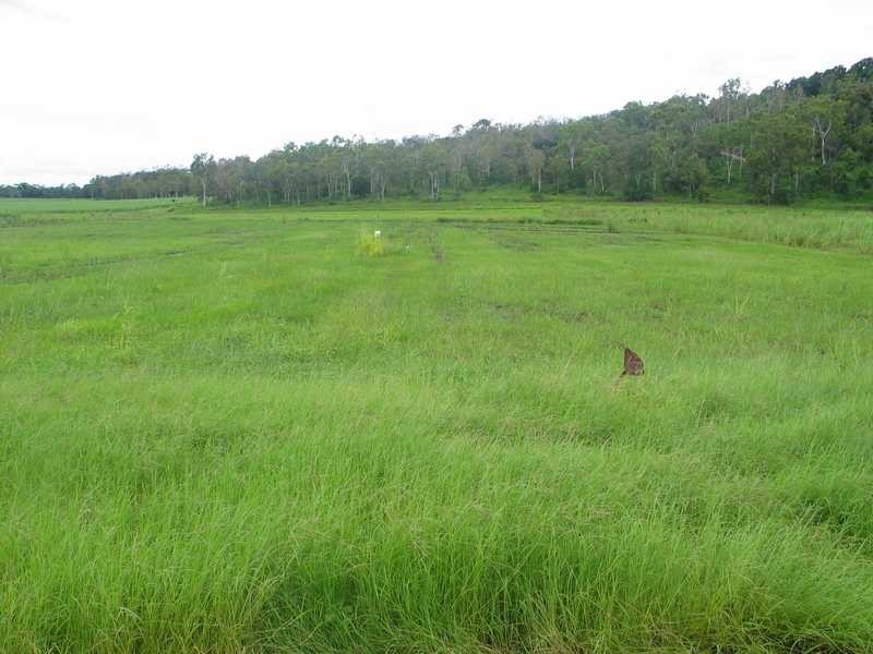 175 Wrights Road, Strathdickie QLD 4800