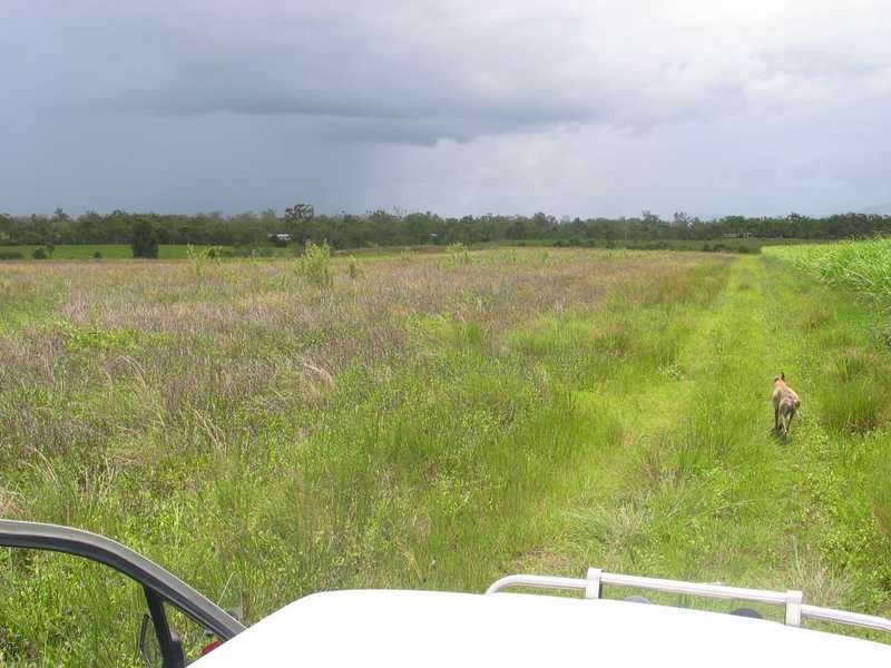 Lot 42 2217 Station Road, Crystalbrook QLD 4871