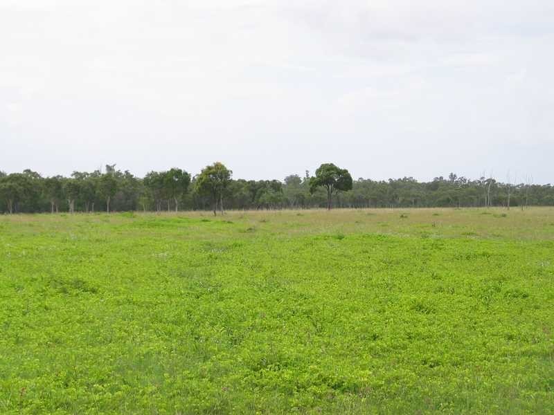Lot 51 2217 Station Road, Crystalbrook QLD 4871