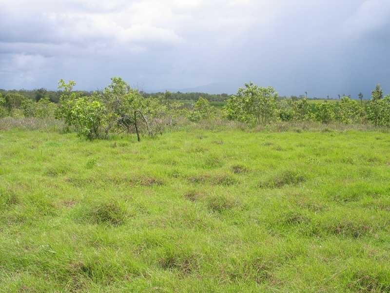 Lot 51 2217 Station Road, Crystalbrook QLD 4871