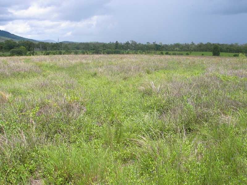 Lot 42 & 51 2217 Station Road, Crystalbrook QLD 4871