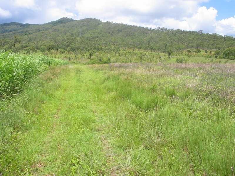 Lot 42 & 51 2217 Station Road, Crystalbrook QLD 4871