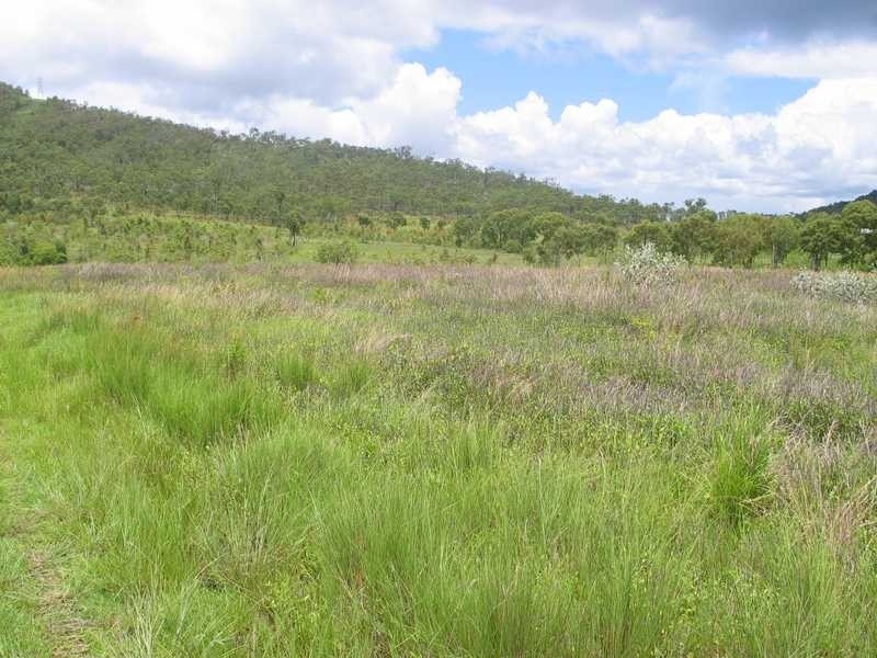 Lot 42 & 51 2217 Station Road, Crystalbrook QLD 4871