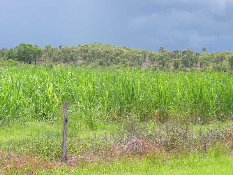 Lot 42 & 51 2217 Station Road, Crystalbrook QLD 4871