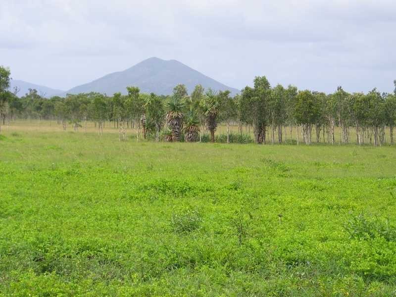 Lot 42 & 51 2217 Station Road, Crystalbrook QLD 4871