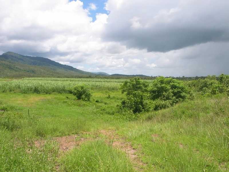 Lot 42 & 51 2217 Station Road, Crystalbrook QLD 4871