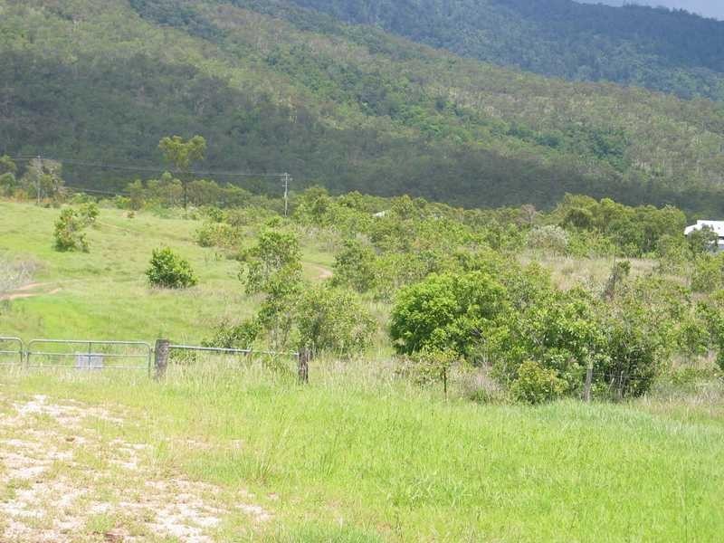 Lot 42 & 51 2217 Station Road, Crystalbrook QLD 4871