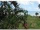 Unit 5/9 Salmon Street, Cannonvale QLD 4802