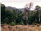 Lot 8 Rainforest Close, Strathdickie QLD 4800