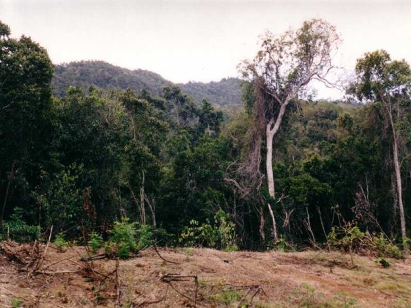 Lot 8 Rainforest Close, Strathdickie QLD 4800