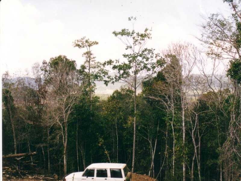 Lot 8 Rainforest Close, Strathdickie QLD 4800