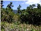 Lot 7 Mandalay Close, Mandalay QLD 4802