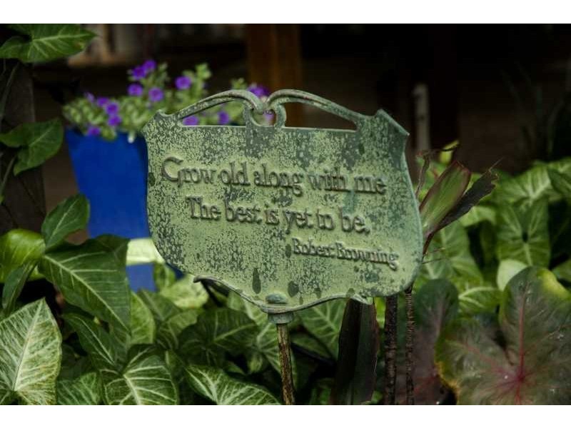 6 Gregory Court, Cannonvale QLD 4802