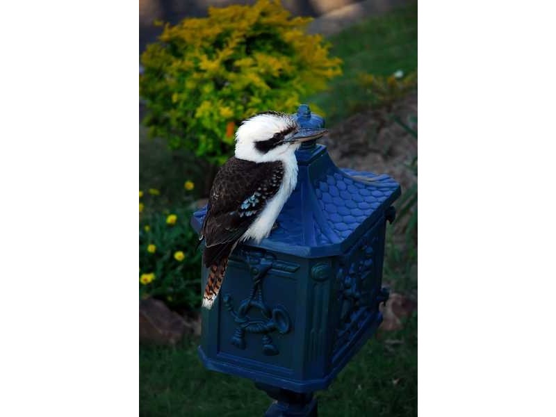 6 Gregory Court, Cannonvale QLD 4802