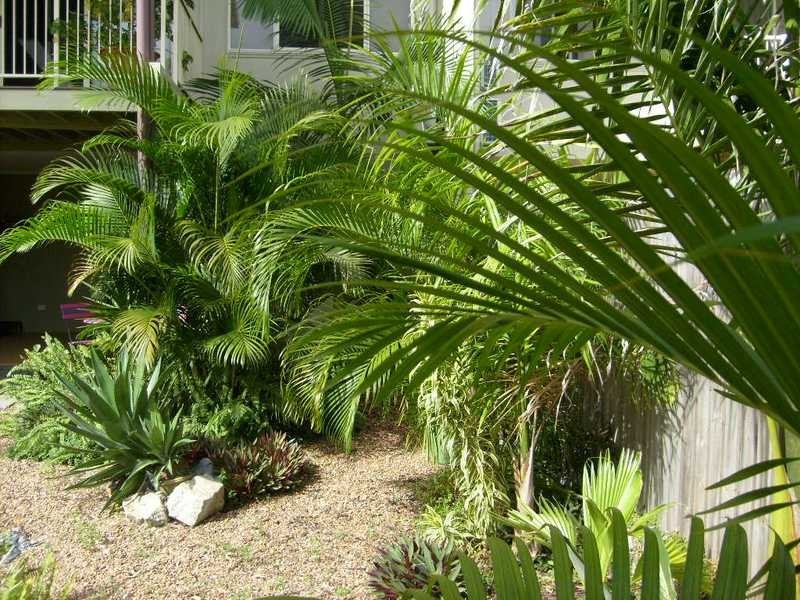 Unit 13/21 Shute Harbour Road, Cannonvale QLD 4802