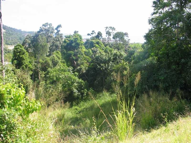 Lot 94 Curlew Court, Jubilee Pocket QLD 4802